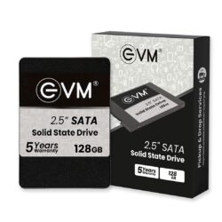 SSD EVM 256GB